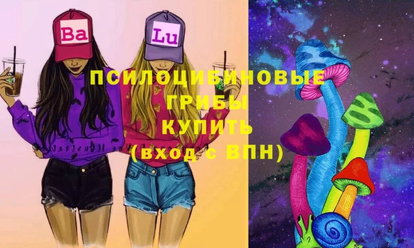 мдпв Мегион