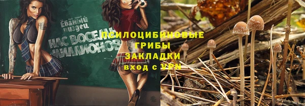 мдпв Мегион