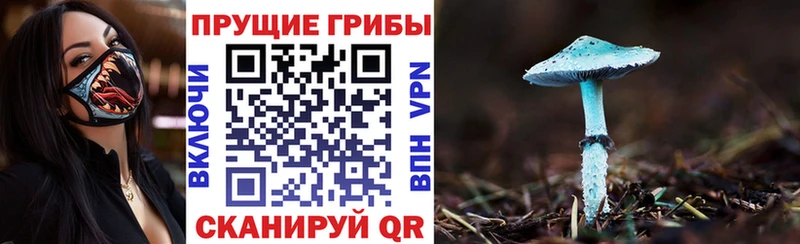 Купить  Цоци-Юрт  Галлюциногенные грибы Psilocybe 
